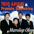 Trio Ambisi