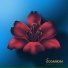 Sogranora