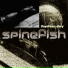 Spinefish
