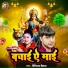 Digvijay Deewana