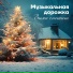 Любовь Черемисина