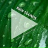 Regengeräusche, Rain Sounds, Calming Sounds