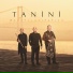 Tanini