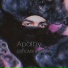 SXRGMXRDER