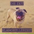 KlangkellerZeit