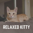 Music For Cats