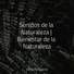 Musica Meditaction, Masajes Spa, Naturaleza