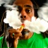 Rastafaray