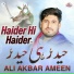 Ali Akbar Ameen