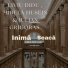 Liviu Didu feat. Iulian Grigoras, Mirela Husein