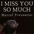 Marcel Proventier