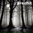 Brechit