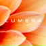 LUMERA, Chillout Lounge, Спокойная фоновая музыка