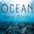 Hans Olsen