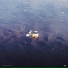 Dustmode