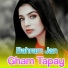Bahram Jan