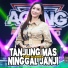 Fira Azahra, Ageng Music