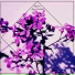 Hyperex