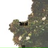 broskee