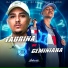 DJ Tubarão ZS, MC Renatinho Falcão