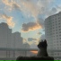 liking, Sharmi