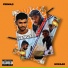 Vermaji Music, Gokaar