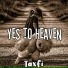 Taxfi