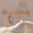Paul Cotton