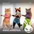 Bunny Tunes, Melovortex