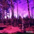 FRSTNR