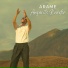 Arame