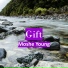 Moshe Young