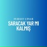 Ferhat Çınar