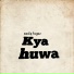 SADIQ FAYAZ