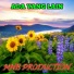 MNB PRODUCTION
