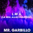 Mr. Garbillo