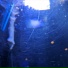ooxtn, Ultramarinblau