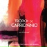 Trópico de Capricornio