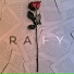 RAFY