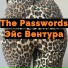 The Passwords