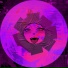 trippin'trips, Summer Of Haze, Teaching in Trips