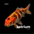 aatrium
