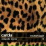 Cardia