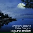 Anthony Island, Pete Dingon
