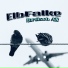 ElbFalke