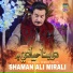 Shaman Ali Mirali