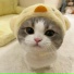 whitechoc