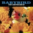 Babybird