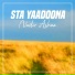 Nadir Ashna