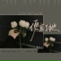 鱼儿七